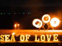  เช็คอินคาเฟ่สุดฮิต Sea Of Love Pattaya 