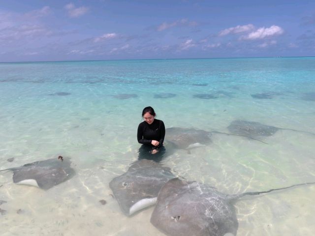 We thought Maldives was only for the rich.. until we made it happen