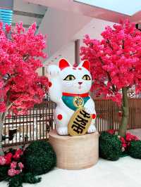 Tokyo Street: A Must-Visit Japanese Experience