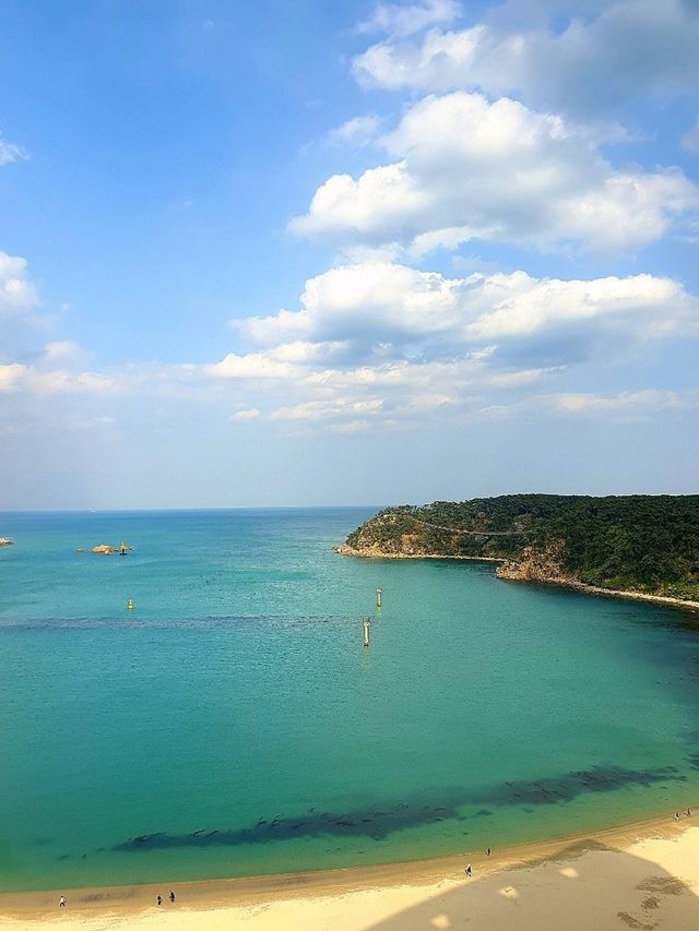 산과 바다를 동시에 즐길 수 있는 울산의 공원☘️
