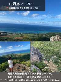【石垣島】島観光！🏝️北部エリアスポット5選🐄🌴