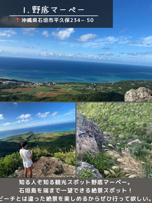【石垣島】島観光！🏝️北部エリアスポット5選🐄🌴