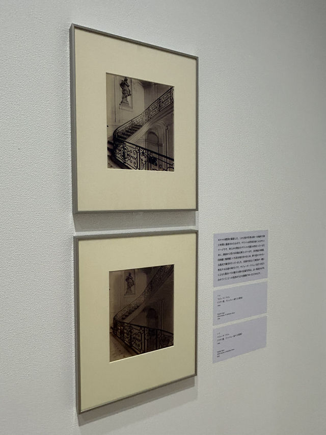 【東京・恵比寿】東京都写真美術館　トランスフィジカル