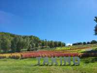 北海道必訪：札幌市郊四季皆宜的親子樂園-瀧野鈴蘭丘陵公園
