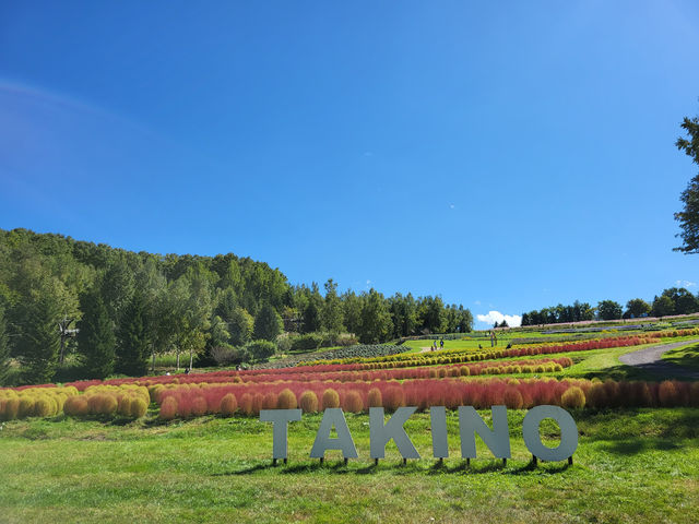北海道必訪：札幌市郊四季皆宜的親子樂園-瀧野鈴蘭丘陵公園