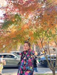 🌈….Anfu Road