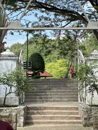 Leaves, Legends & Life Advice – The Herb Garden Experience