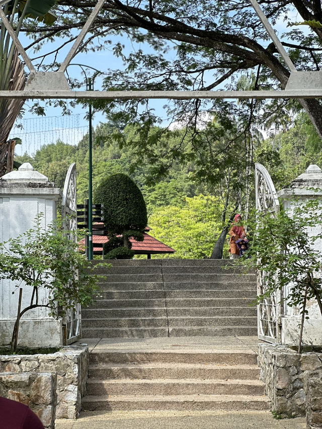 Leaves, Legends & Life Advice – The Herb Garden Experience
