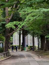 Ueno Park: A Peaceful Escape in Tokyo, Japan