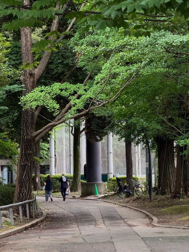 Ueno Park: A Peaceful Escape in Tokyo, Japan