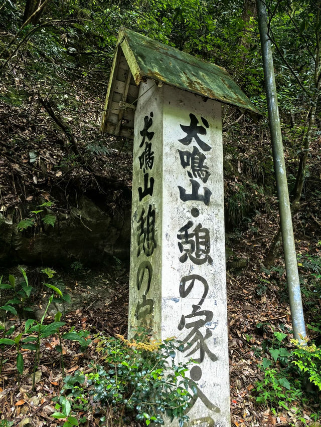 🏞️ เดินป่าชิล ๆ ใกล้โอซาก้า