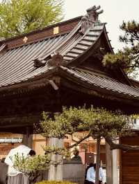 Zenkō-ji Temple (善光寺) – A Sacred Retreat in Nagano⛩️✨