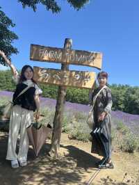 【夏の北海道】ラベンダー畑🪻の絶景スポット
