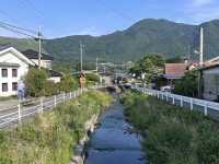 Yufuin Town: Your Guide to a Ghibli-esque Fairytale Escape! 🌿🍜🦉