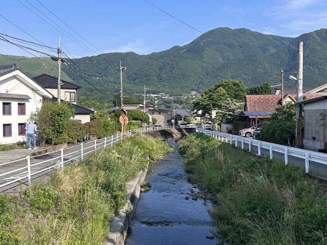Yufuin Town: Your Guide to a Ghibli-esque Fairytale Escape! 🌿🍜🦉