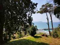 Leaf It All Behind at Batumi Botanical Garden