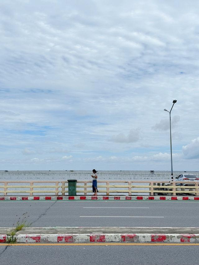 สะพานชลมารควิถี จุดถ่ายรูปเพียบ วิวอย่างดี!!!