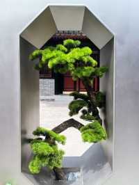 Daji Lane Stroll in Beijing 
