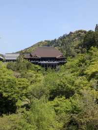 【清水寺】京都旅のスタートはここから！絶景と歴史に心奪われるひととき✨