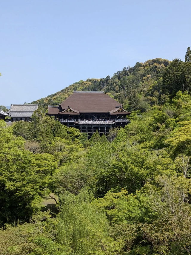 【清水寺】京都旅のスタートはここから！絶景と歴史に心奪われるひととき✨