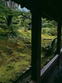 【天龍寺】心を整える禅の世界🌿嵐山の静寂に包まれる癒しの時間