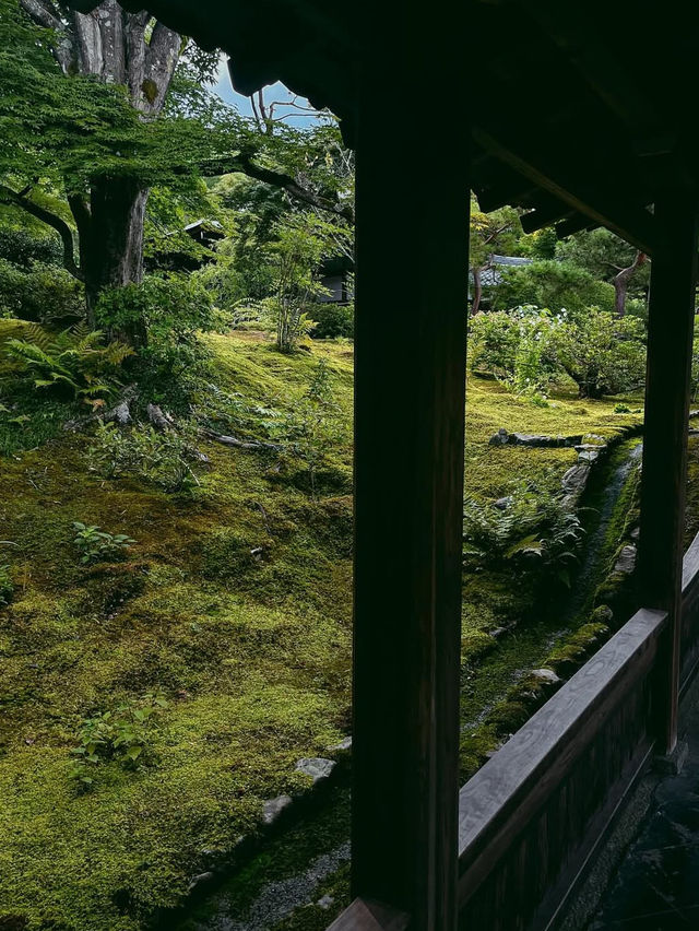 【天龍寺】心を整える禅の世界🌿嵐山の静寂に包まれる癒しの時間