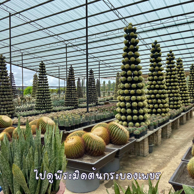 พาเดินเล่นสวนนงนุช ดูไดโนเสาร์ ชมนกแก้ว