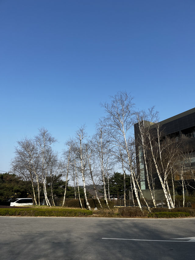 서울 근교 차타고 힐링 호캉스 명소!