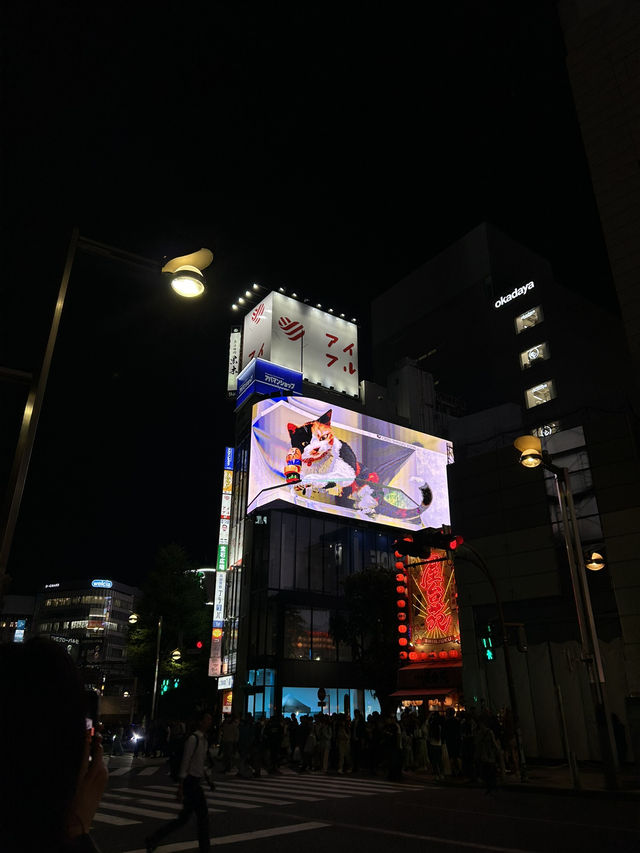 🗼✨เดินเล่นโตเกียว 1 วันในชิบูยะ–ชินจูกุ 