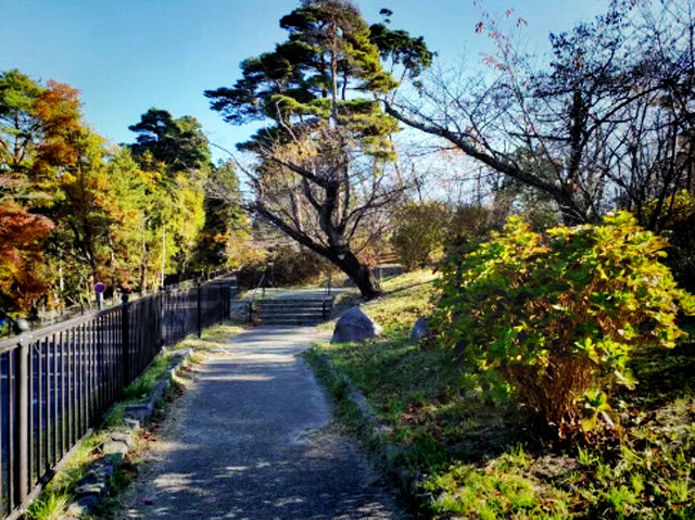 仙台🇯🇵三神峰公園