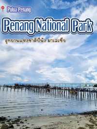 Penang National Park