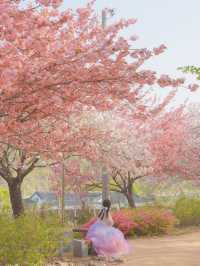 내가 사랑한 경주의 봄🌸❤️