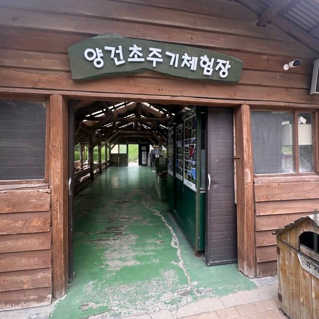 대관령 양떼목장
