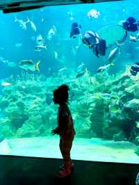 KL's Oceanic Marvel: Aquaria KLCC