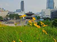 A relic from the Joseon Dynasty, Heungjinmun