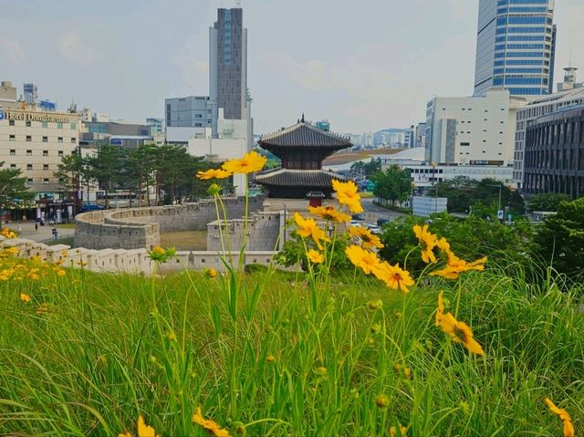 A relic from the Joseon Dynasty, Heungjinmun