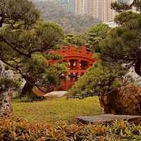🌿✨ Escape to Tranquility: Discover Nan Lian Garden – Hong Kong’s Hidden Oasis! ✨🌿
