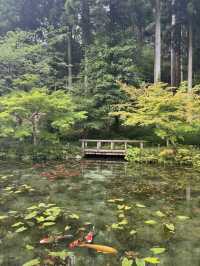 名古屋近郊 莫內之池！
