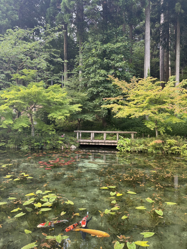 名古屋近郊 莫內之池！