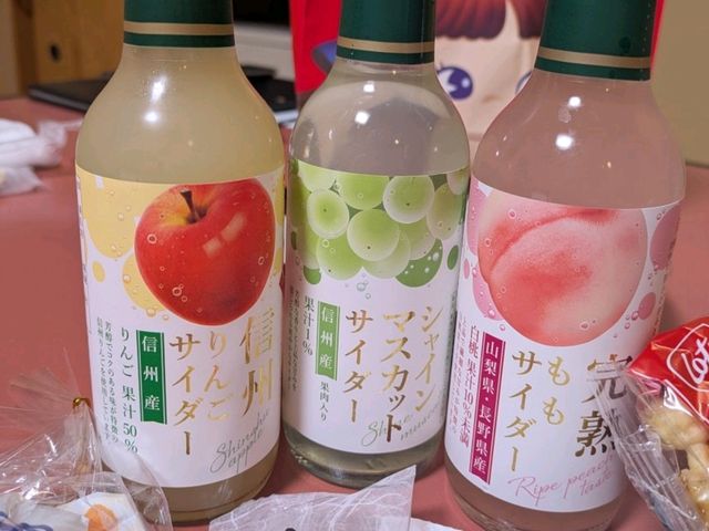星降る村のホテル🌠阿智川ホテル
