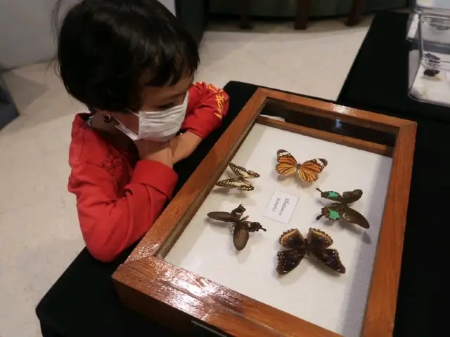 曼谷科學教育中心