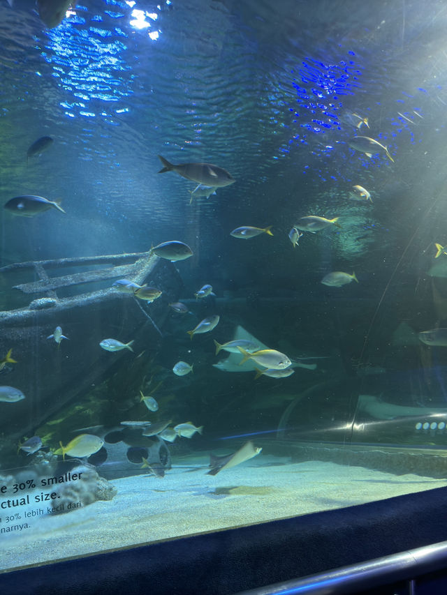 Summer Escape to the Deep 🐟☀️
