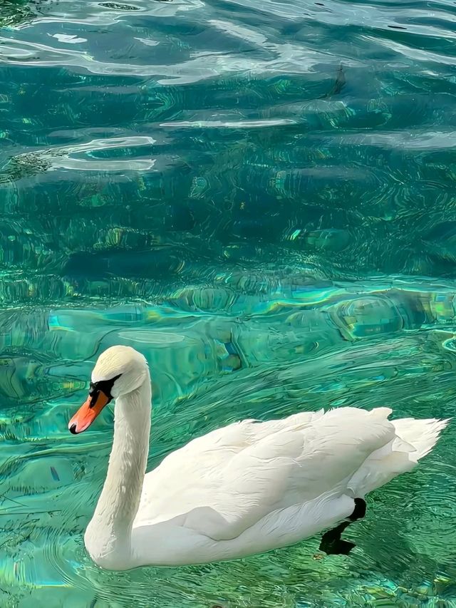 Beautiful Jiuzhaigou: Nature’s Painted Valley