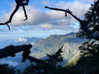Quiet Majesty on the Trail to Yushan West Peak