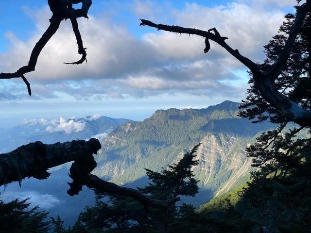 Quiet Majesty on the Trail to Yushan West Peak