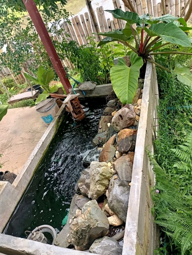 นาเด่นคาเฟ่ จังหวัดน่าน