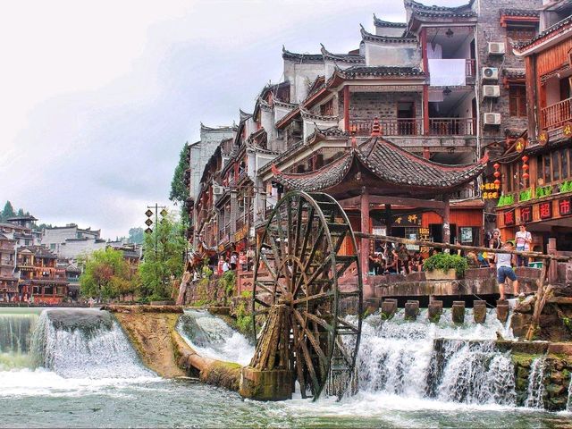 Phoenix of Time: Fenghuang’s Eternal Charm