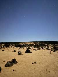 Pinnacles Desert- Out of this world view