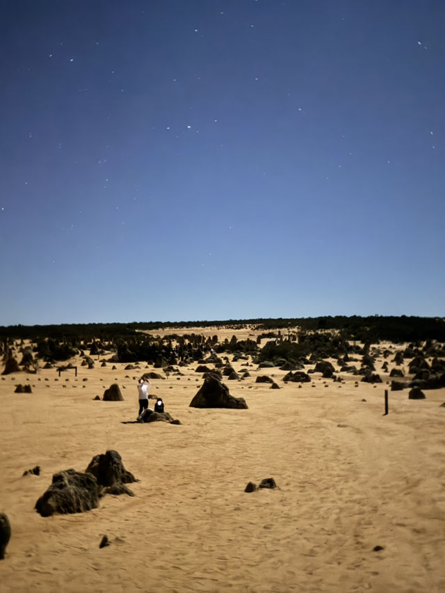 Pinnacles Desert- Out of this world view