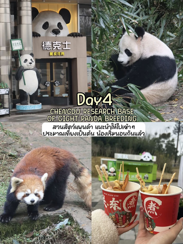 รีวิวเที่ยวเฉิงตู 5วัน4คืน ฉบับไปเอง งบ15k 🏔️🇨🇳 รีวิวเที่ยวเฉิงตู 5วัน4คืน ฉบับไปเอง งบ15k 🏔️🇨🇳